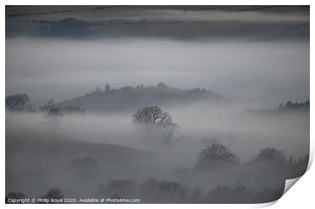 Trees in the Mist - Loweswater Lake District Print by Philip Royal