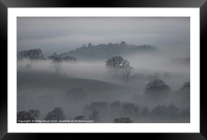 Tree in Mist, Loweswater, Lake District Framed Mounted Print by Philip Royal