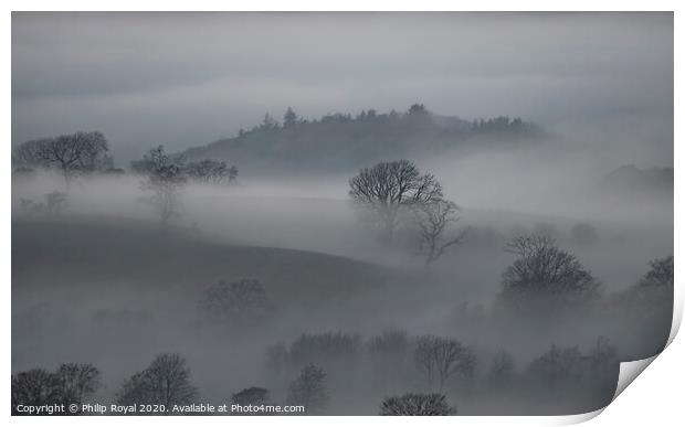 Tree in Mist, Loweswater, Lake District Print by Philip Royal