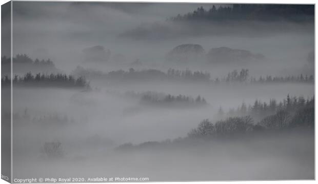 Tree lines in the Mist - Loweswater Lake District Canvas Print by Philip Royal