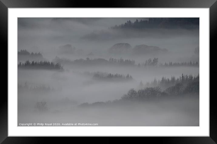 Tree lines in the Mist - Loweswater Lake District Framed Mounted Print by Philip Royal