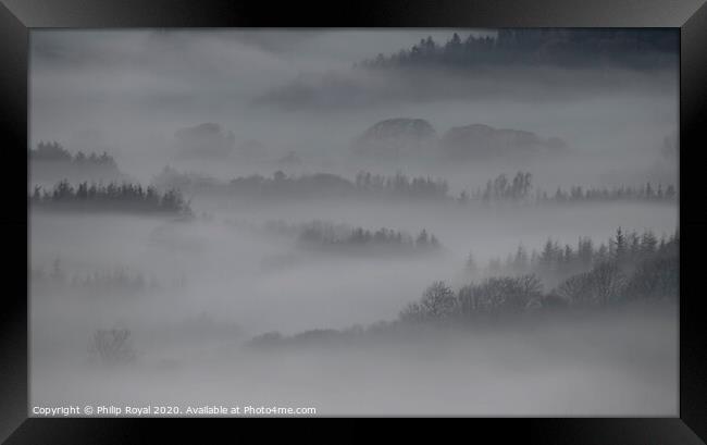 Tree lines in the Mist - Loweswater Lake District Framed Print by Philip Royal