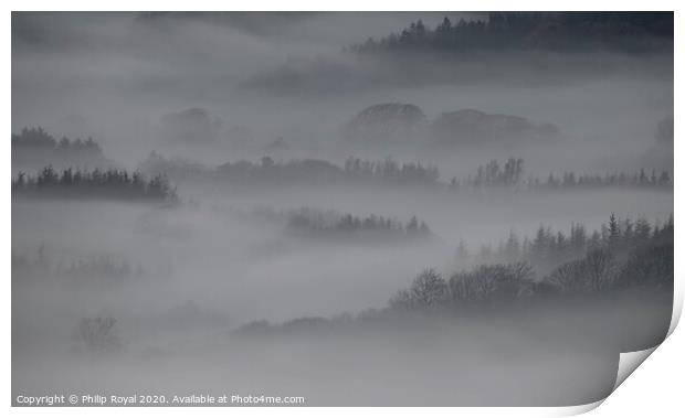 Tree lines in the Mist - Loweswater Lake District Print by Philip Royal