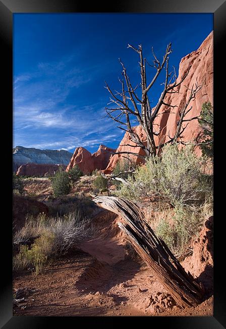 Sunset Trail  Framed Print by Mike Dawson