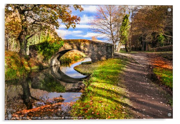 Neath canal and bridge in autumn Acrylic by Peter Thomas