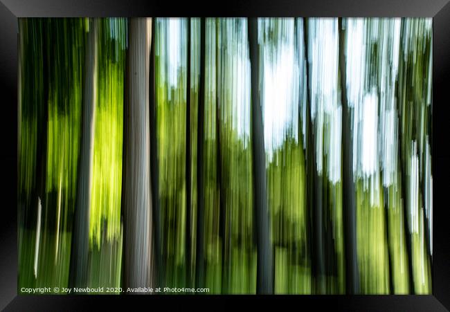 Abstract Tree Trunks in Spring Framed Print by Joy Newbould