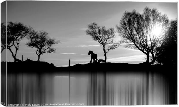 A silhouette of a Horse  Canvas Print by Malc Lawes