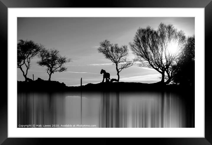 A silhouette of a Horse  Framed Mounted Print by Malc Lawes