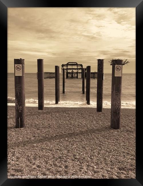 Brighton Beach Framed Print by Anthony Goehler