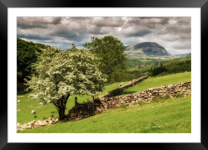 Summer scene at Ffestiniog Framed Mounted Print by Rory Trappe