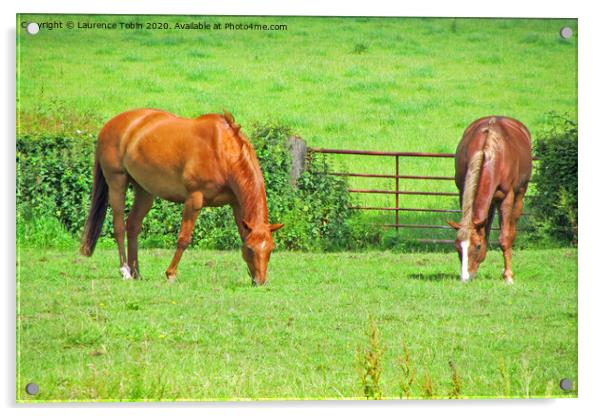 Horses Grazing in Warwicksire Acrylic by Laurence Tobin