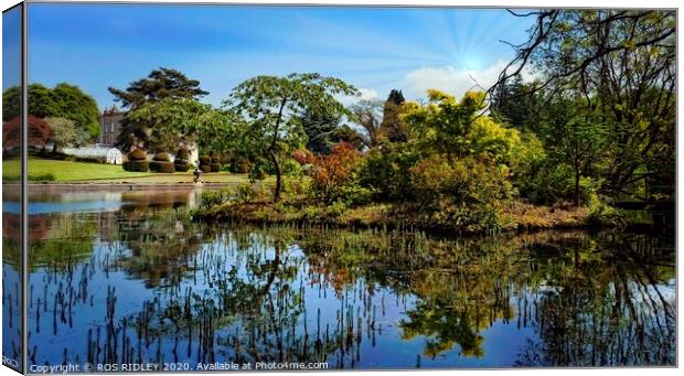 Reflections at Thorp Perrow lake Canvas Print by ROS RIDLEY