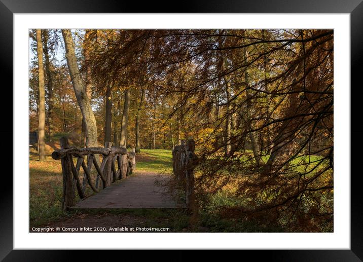autum forest with red brown and golden colors Framed Mounted Print by Chris Willemsen