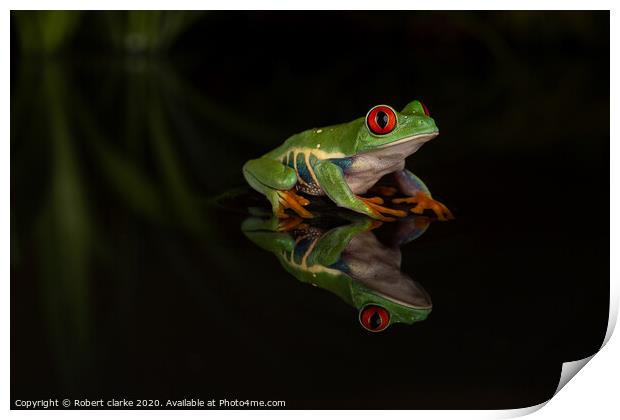 Red Eye Tree Frog Reflection Print by Robert clarke