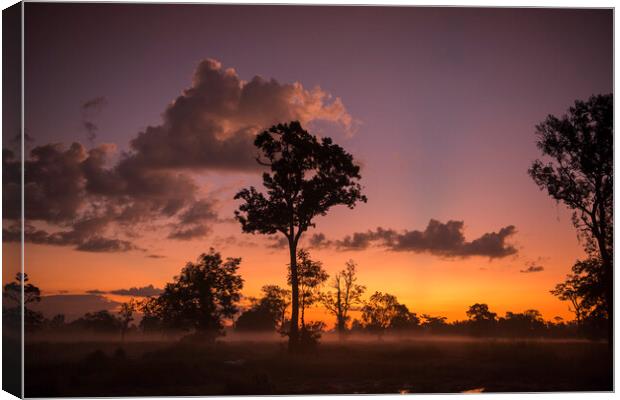 THAILAND ISAN SURIN LANDSCAPE MORNING Canvas Print by urs flueeler