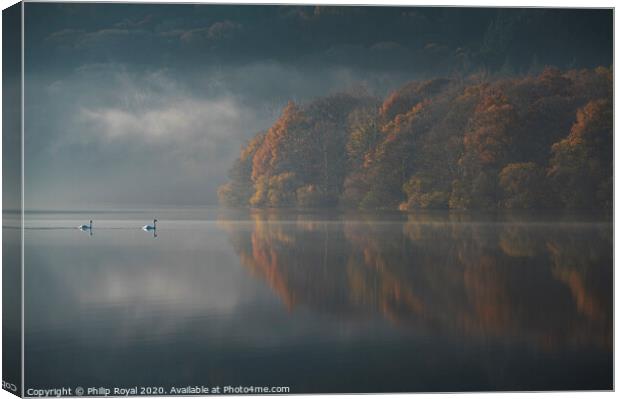 Loweswater Swans and Autumn Mist, Lake District Canvas Print by Philip Royal