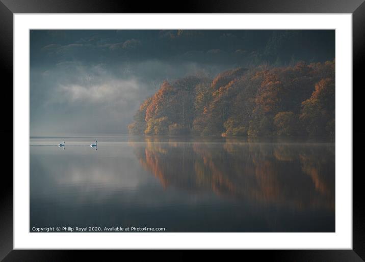 Loweswater Swans and Autumn Mist, Lake District Framed Mounted Print by Philip Royal