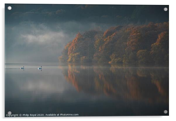 Loweswater Swans and Autumn Mist, Lake District Acrylic by Philip Royal