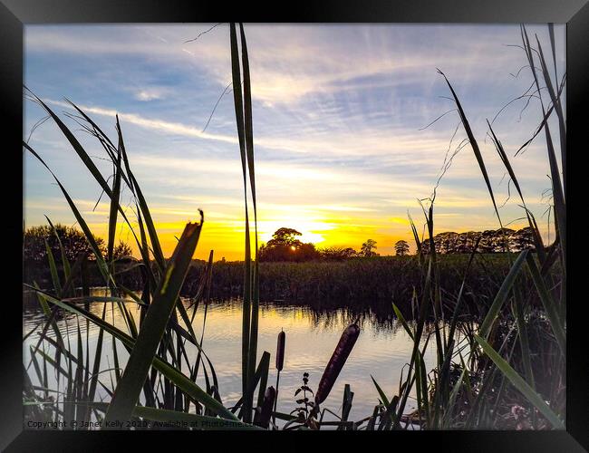 Castle eden pond at sunset Framed Print by Janet Kelly