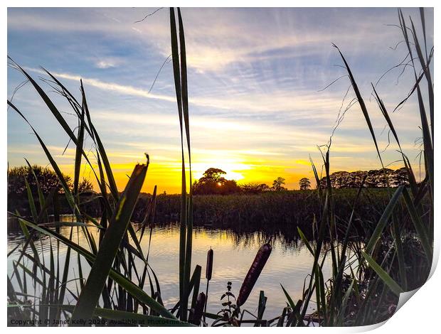 Castle eden pond at sunset Print by Janet Kelly