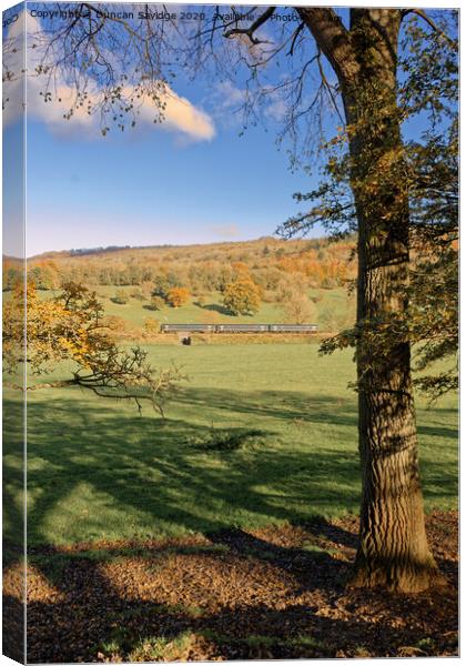 Autumn sprinter train in the landscape Canvas Print by Duncan Savidge