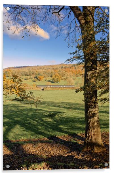 Autumn sprinter train in the landscape Acrylic by Duncan Savidge
