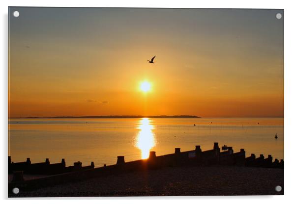 Seagull flying over setting sun at Whitstable Beach in Kent, England. Acrylic by Jonathan Moulton