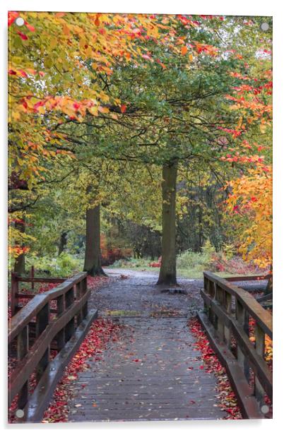 Ashridge Forest Acrylic by Graham Custance