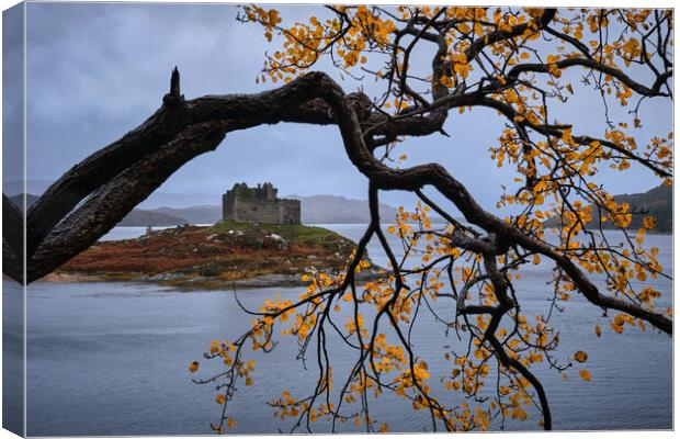 Autumn colours at castle Tioram, West Scotland Canvas Print by Dan Ward