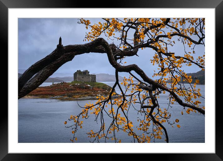 Autumn colours at castle Tioram, West Scotland Framed Mounted Print by Dan Ward