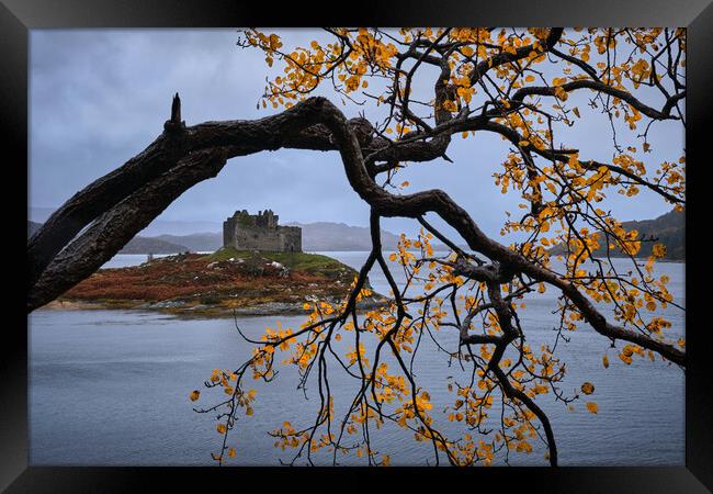 Autumn colours at castle Tioram, West Scotland Framed Print by Dan Ward