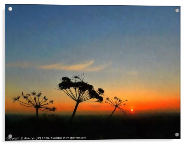 edinburgh sunset Acrylic by dale rys (LP)