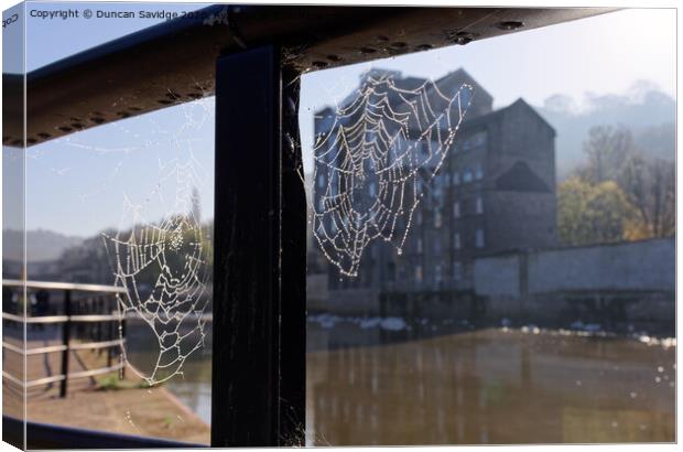Misty Autumn spider web along the River Avon Bath Canvas Print by Duncan Savidge