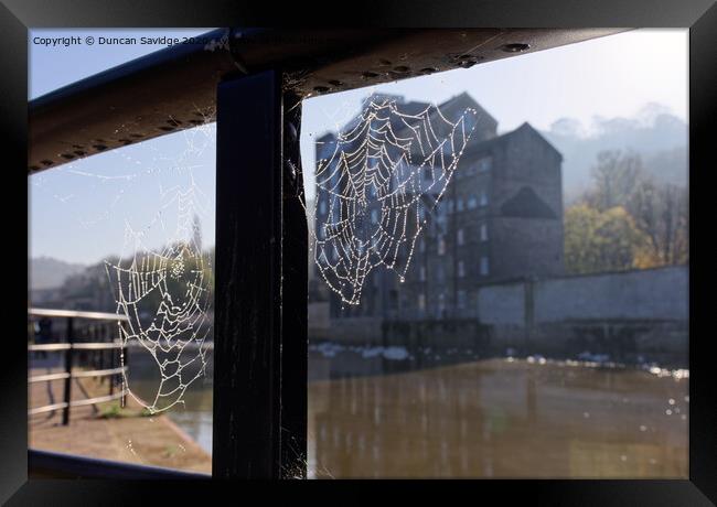 Misty Autumn spider web along the River Avon Bath Framed Print by Duncan Savidge
