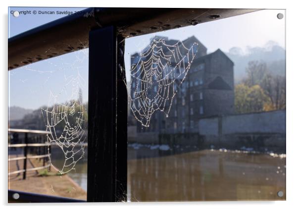 Misty Autumn spider web along the River Avon Bath Acrylic by Duncan Savidge