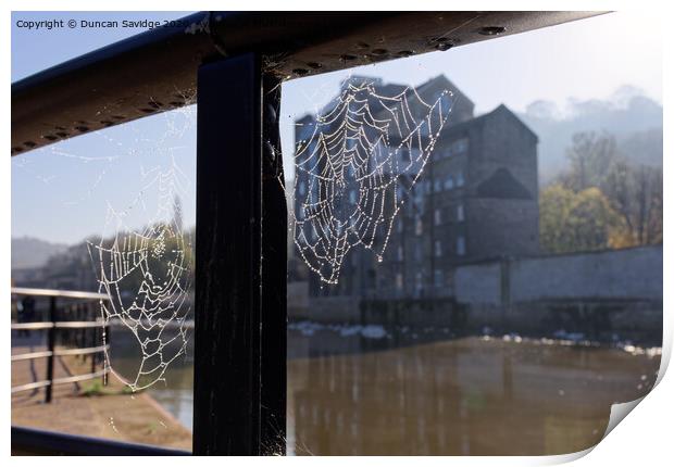 Misty Autumn spider web along the River Avon Bath Print by Duncan Savidge