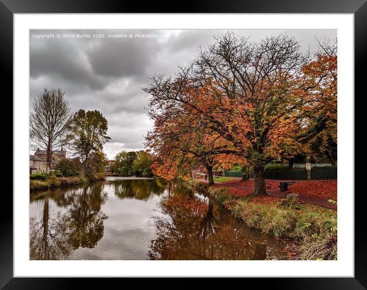 Autumn in Morpeth  Framed Mounted Print by Aimie Burley