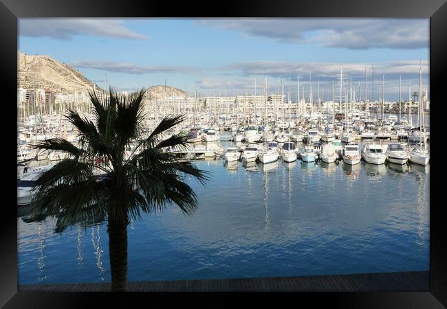 Alicante Harbour Spain  Framed Print by Jacqui Farrell