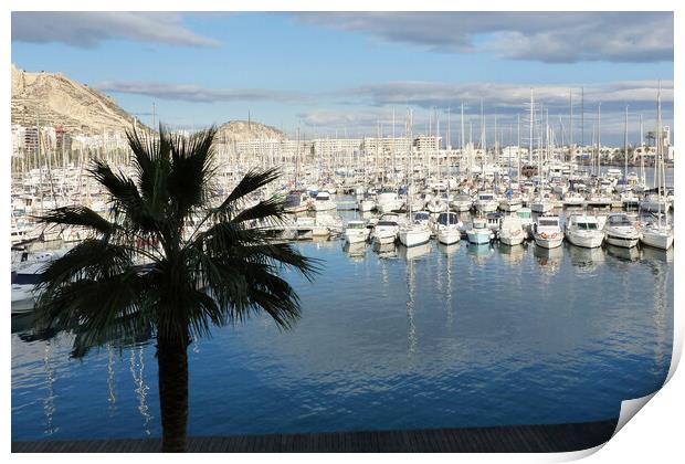 Alicante Harbour Spain  Print by Jacqui Farrell
