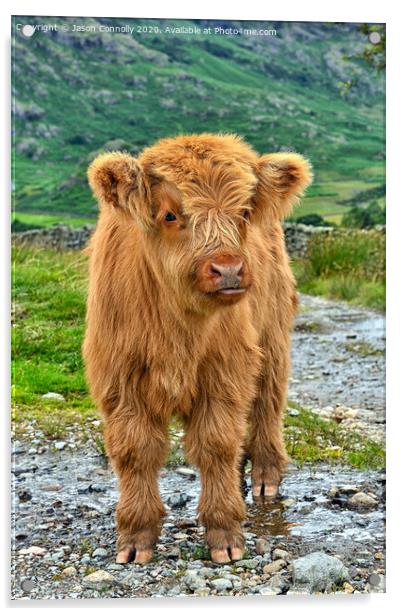 Highland Cattle. Acrylic by Jason Connolly