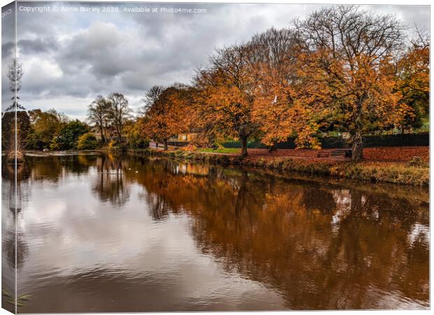 River wansbeck, Morpeth   Canvas Print by Aimie Burley