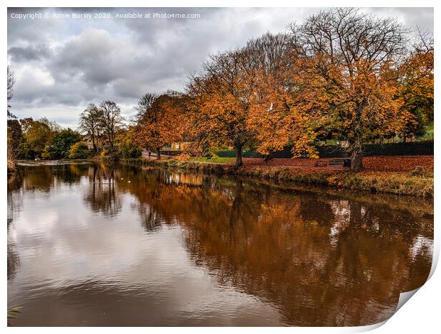 River wansbeck, Morpeth   Print by Aimie Burley