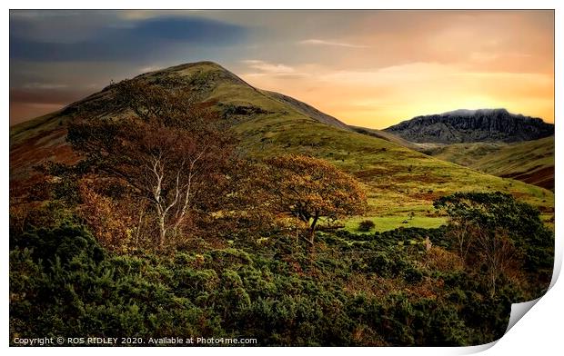 Autumn evening at Scafell Print by ROS RIDLEY