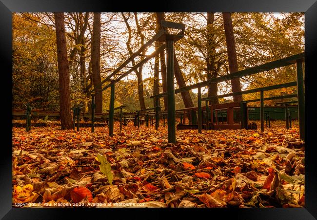 Autumn at Royden Park Framed Print by Paul Madden