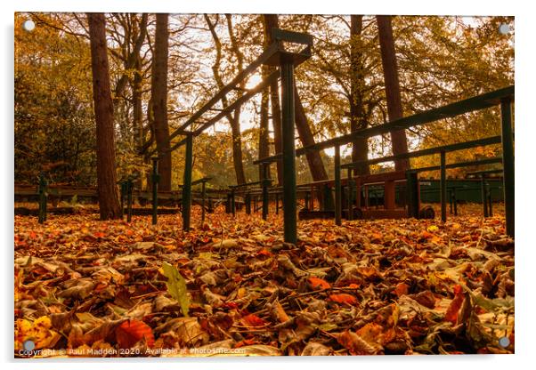 Autumn at Royden Park Acrylic by Paul Madden