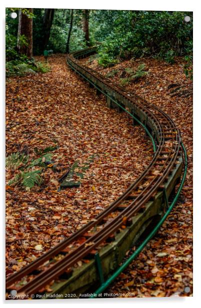 Railway in Royden Park Acrylic by Paul Madden