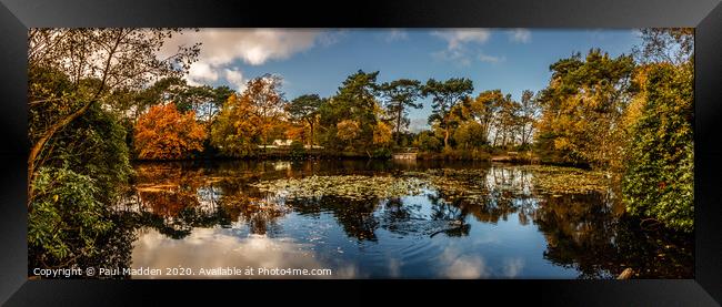 Royden Park Lake Framed Print by Paul Madden