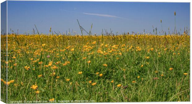 Field of Buttercups Canvas Print by Kev Robertson