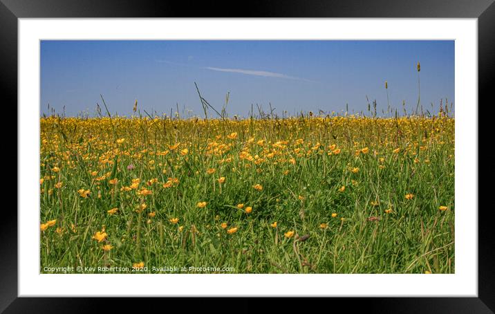 Field of Buttercups Framed Mounted Print by Kev Robertson