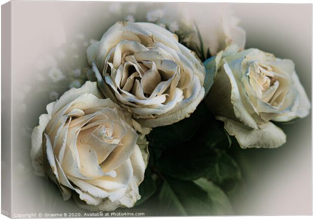 White Roses Canvas Print by Graeme B